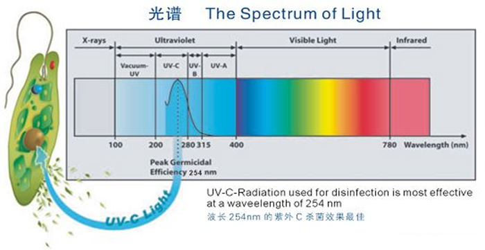 科普！紫外線殺菌燈對人體影響及正確使用方法